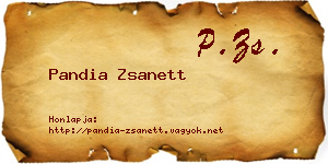 Pandia Zsanett névjegykártya
